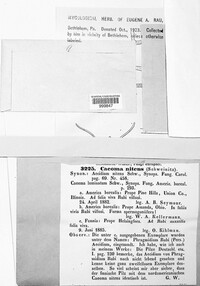 Image Associated With the Occurence